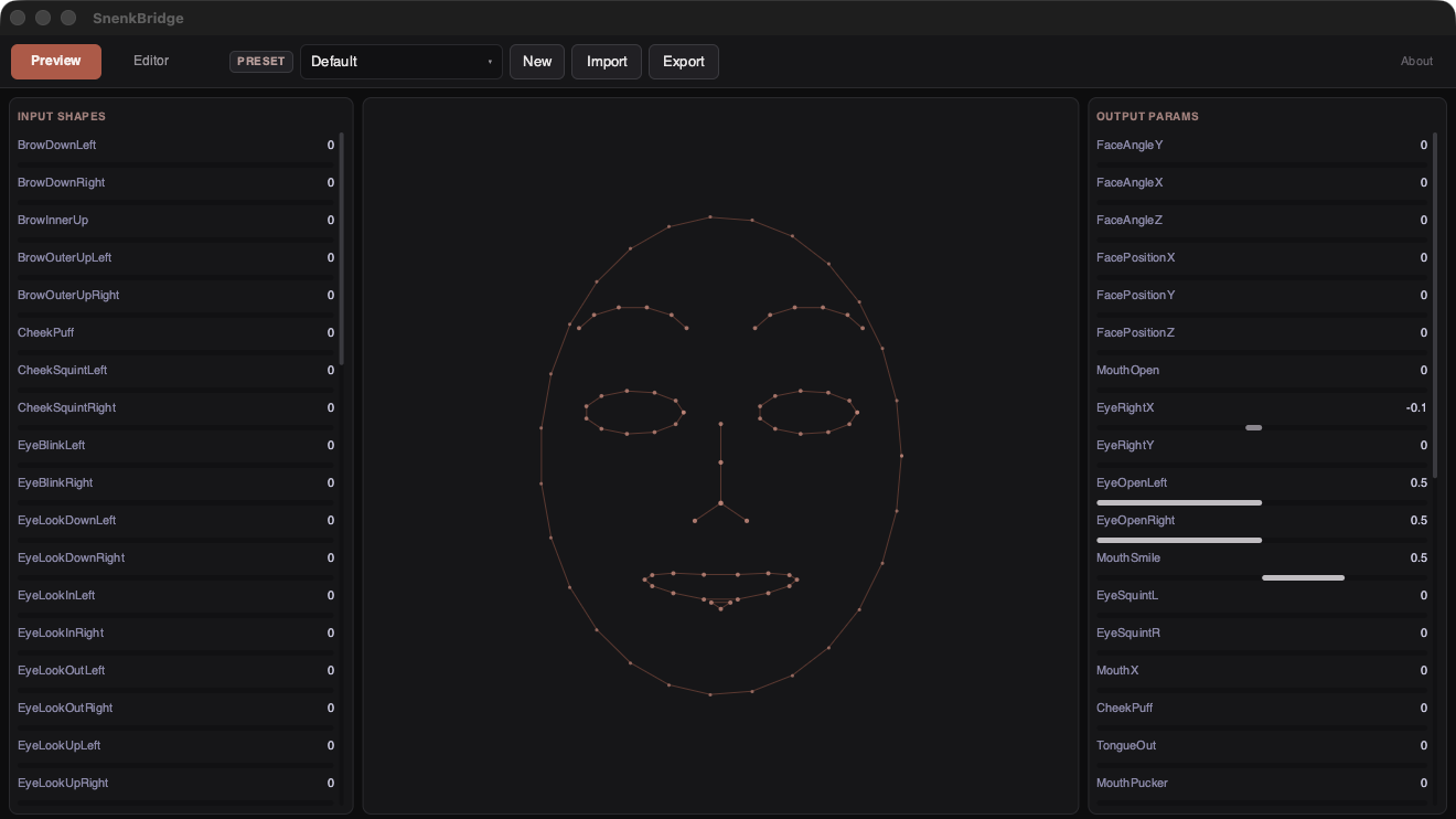 SnenkBridge preview tab showing a wireframe face mesh with input shapes and output parameters